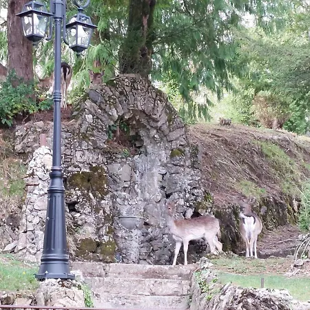 ベッド・アンド・ブレックファスト Ghiron 4*